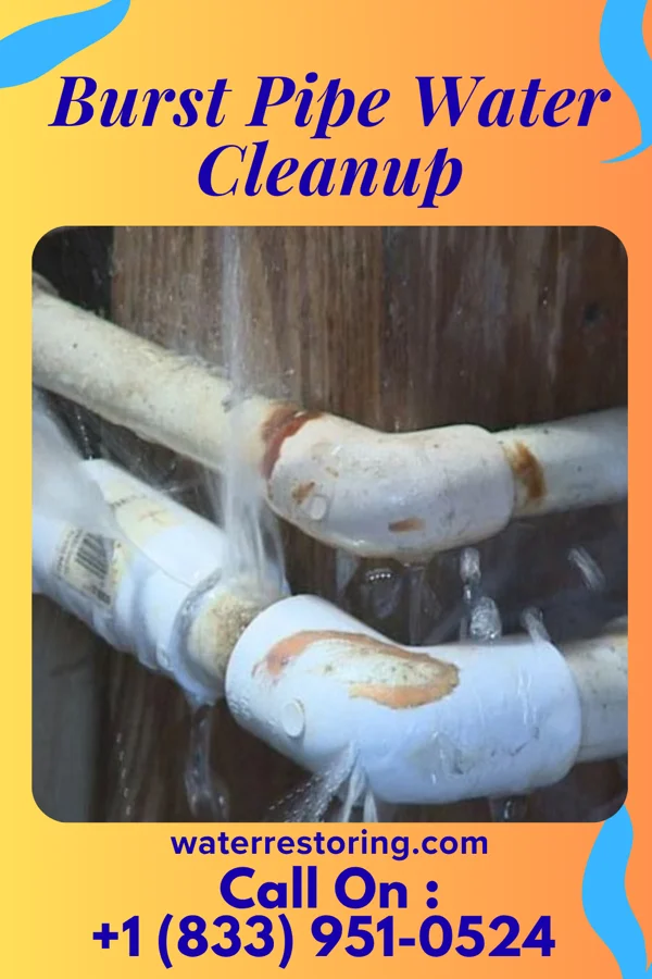 Burst Pipe Water Cleanup in Corsica, PA