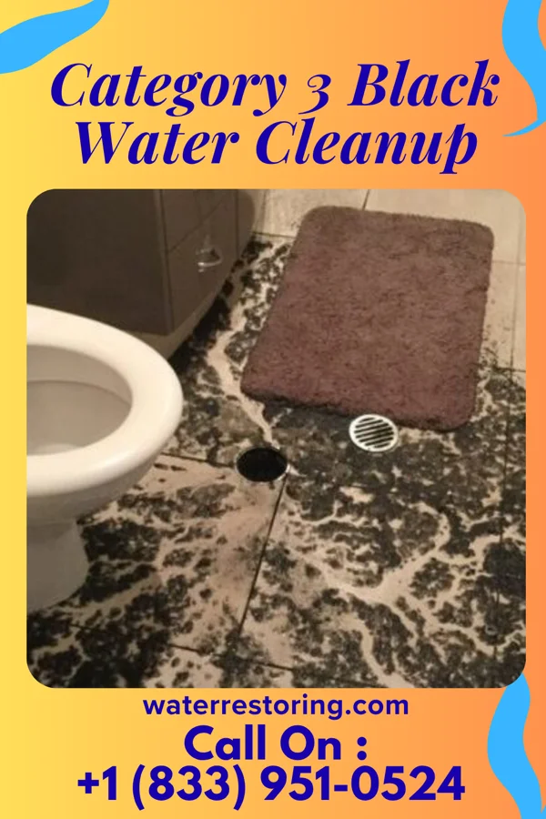 Category 3 Black Water Cleanup in Corsica, PA