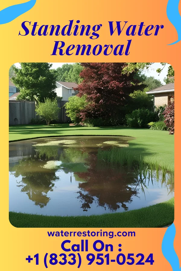 Standing Water Removal in Corsica, PA